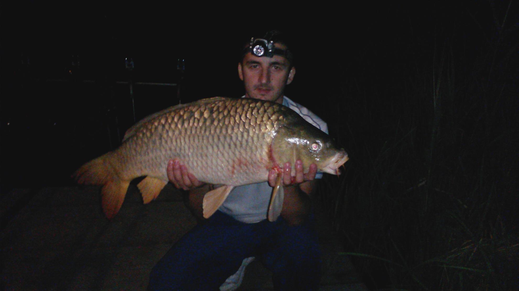 Magura 9 22 - 23 august 2014 - 201408222142211.jpg